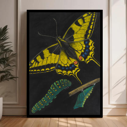 Boho Butterfly Art for Wall – Vibrant, Nature-Inspired Decor