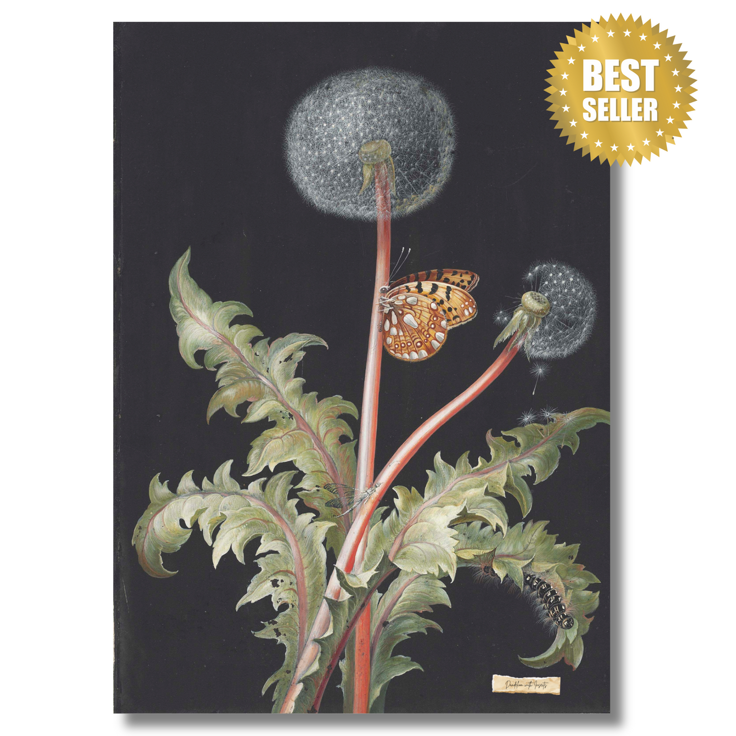 Vintage Dandelion and Insects Art Print – Botanical Wall Art with Rustic Charm