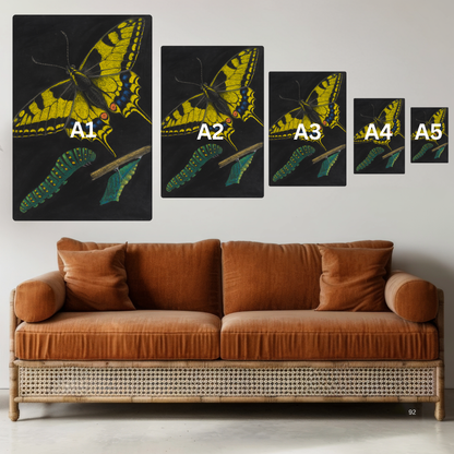 Boho Butterfly Art for Wall – Vibrant, Nature-Inspired Decor