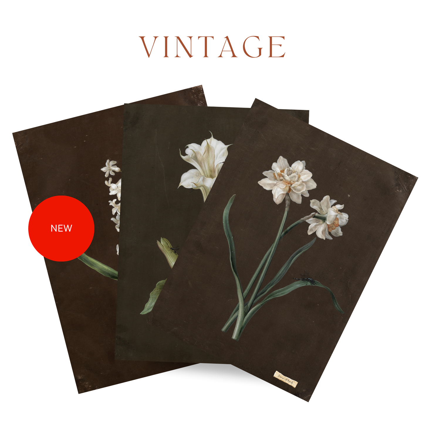 Set of 3 Vintage Botanical Floral Art Prints – Antique Flower Wall Art