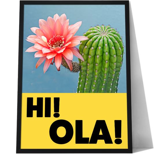 'Hi Ola'  Cactus Kitchen Art Print Poster