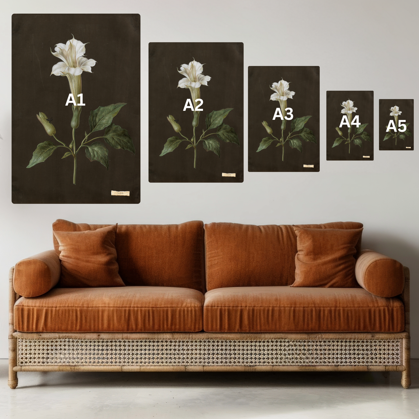 Set of 3 Vintage Botanical Floral Art Prints – Antique Flower Wall Art